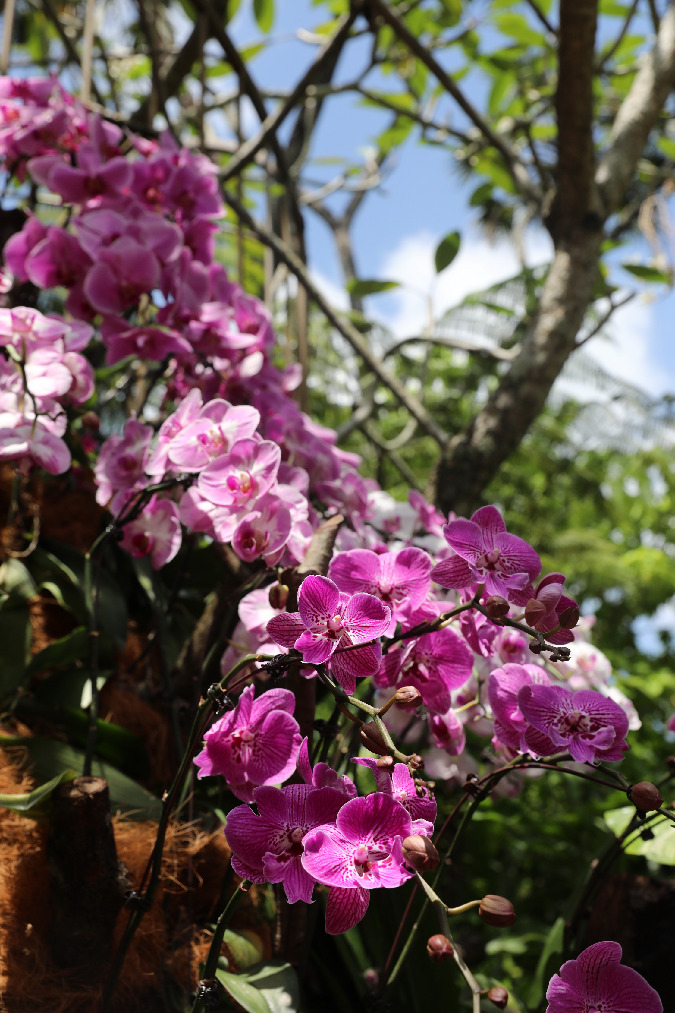 2020 02 03 13 22 27 Canon EOS 5D Mark IV 0010